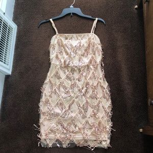 Shimmery Blush Pink dress